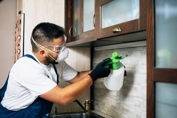 Best Flea Control Services  in Orange Lake, NY