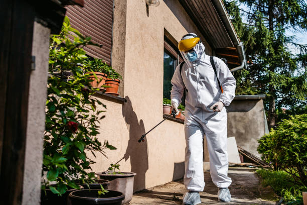 Wasp Removal Services in Orange Lake, NY