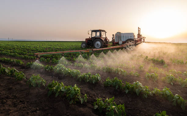 Best Pest Control for Homes  in Orange Lake, NY