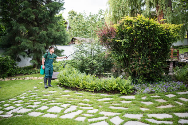 Best Local Pest Control Services  in Orange Lake, NY