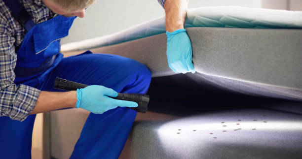 Best Rat Extermination Near Me  in Orange Lake, NY