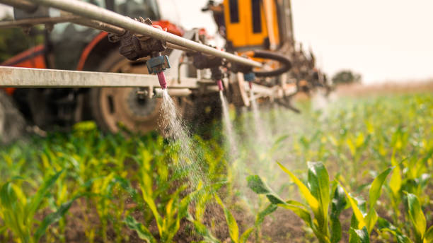 Professional Pest Control in Orange Lake, NY